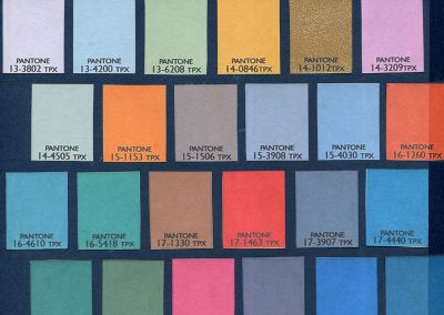 Các màu sắc được lựa chọn