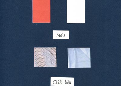 Chất liệu và phối màu