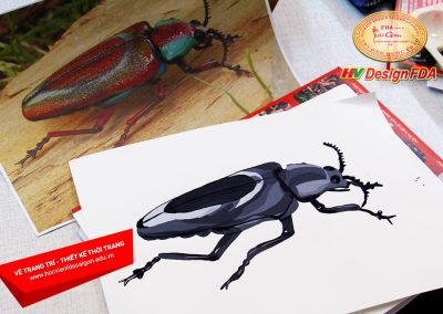 Vẽ trang trí cách điệu côn trùng